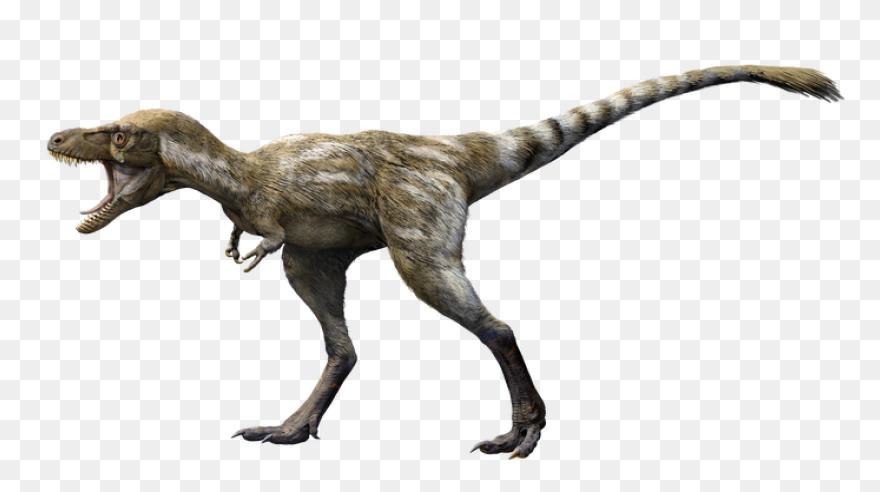 Tyrannosaurus Rex Teenagers Had Enormous - Trex