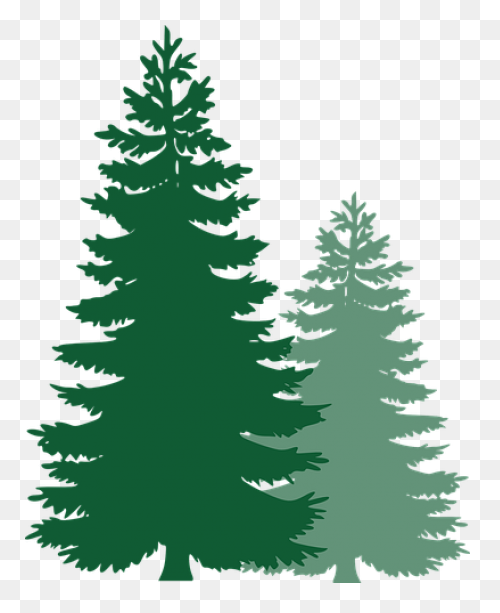 Tree Silhouette Free Vector Icons D