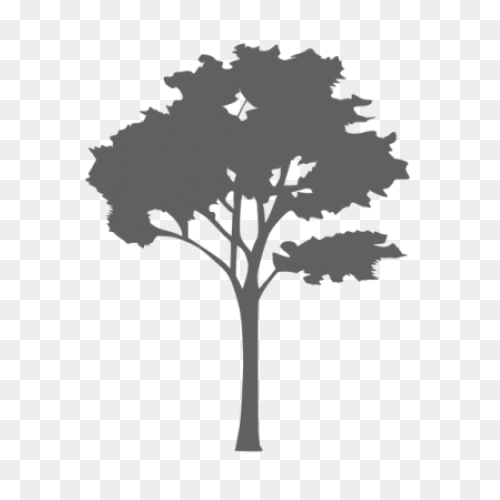 Tree Silhouette Free Vector Icons D