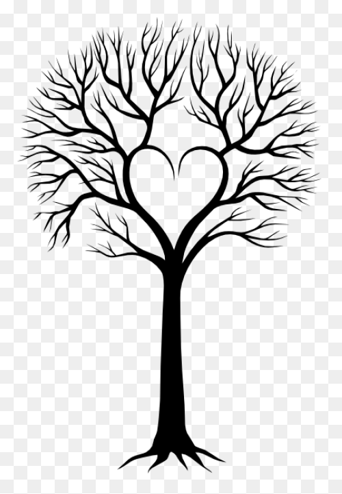 Http //www  PNG WebP - Tree Drawing