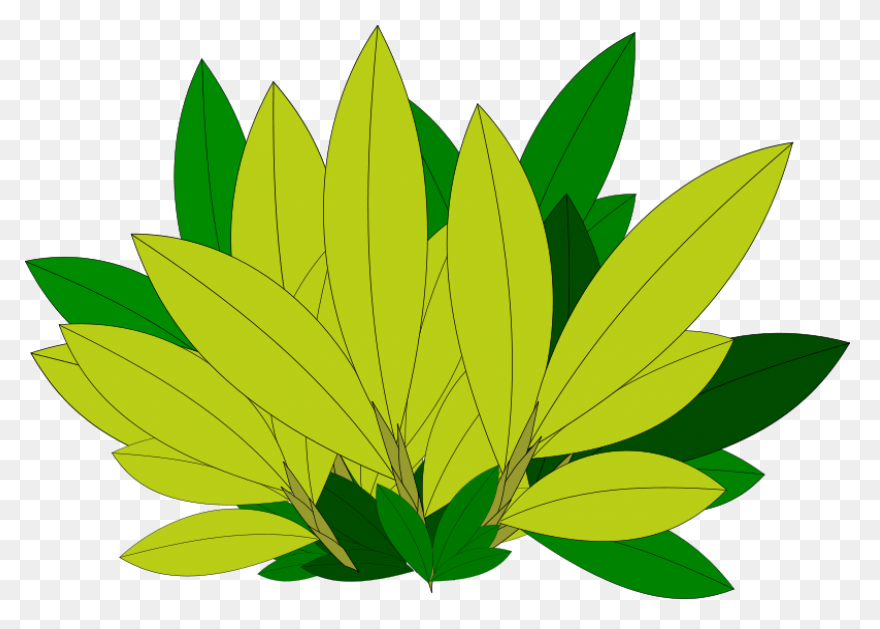 Download Leaf Clipart Coconut Tree - Tree Leaves