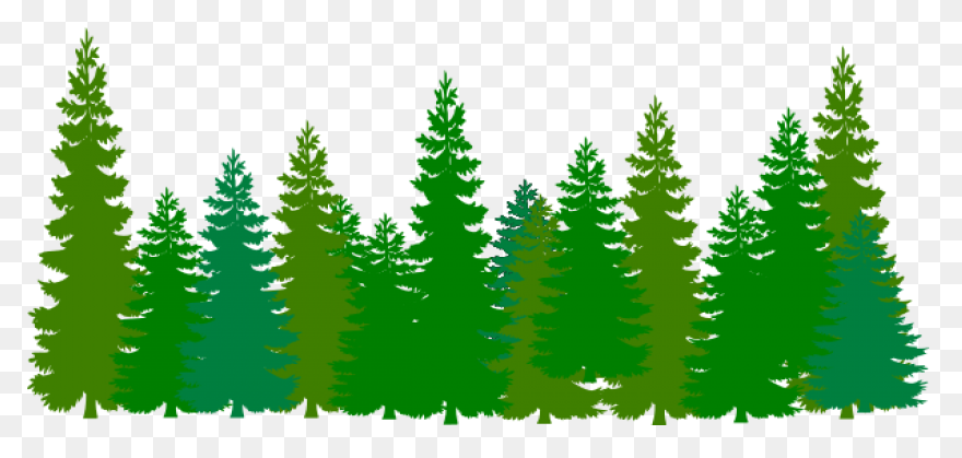 Tree Silhouette PNG-WebP File | Tre