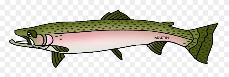 Trout - Vector Graphics Clipart - F