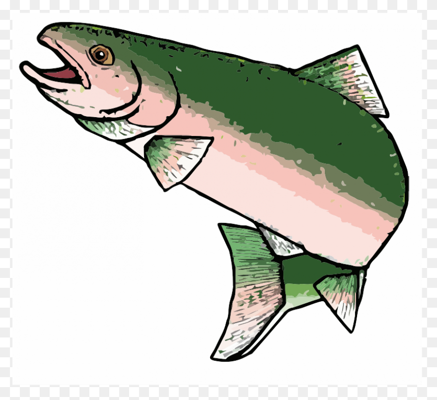 Trout - Vector Graphics Clipart - F