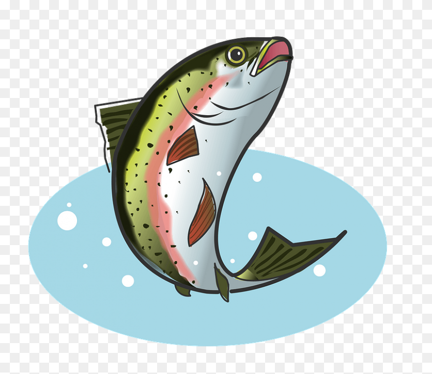 Trout - Vector Graphics Clipart - F