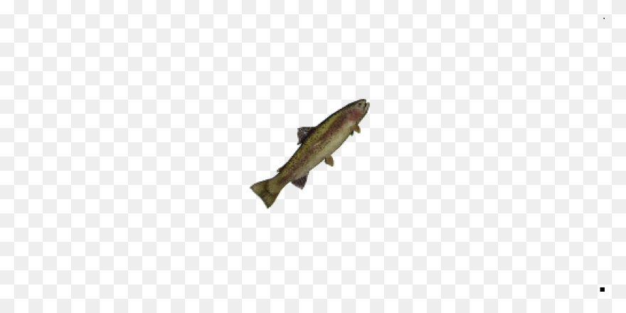 Trout - Vector Graphics Clipart - F