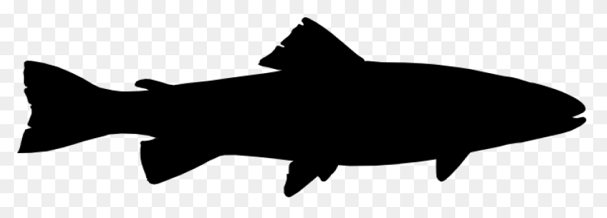 Trout - Vector Graphics Clipart - F