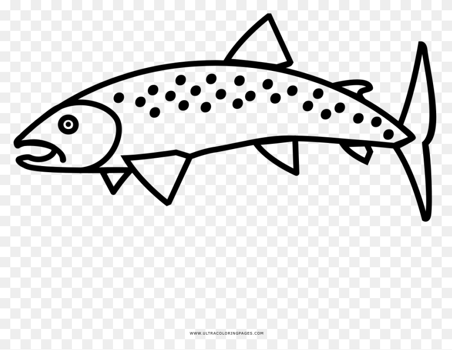 Trout - Vector Graphics Clipart - F