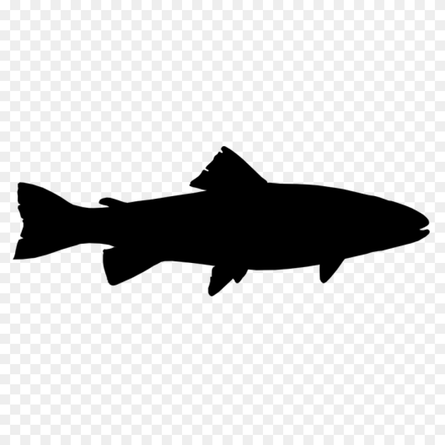 Trout - Vector Graphics Clipart - F
