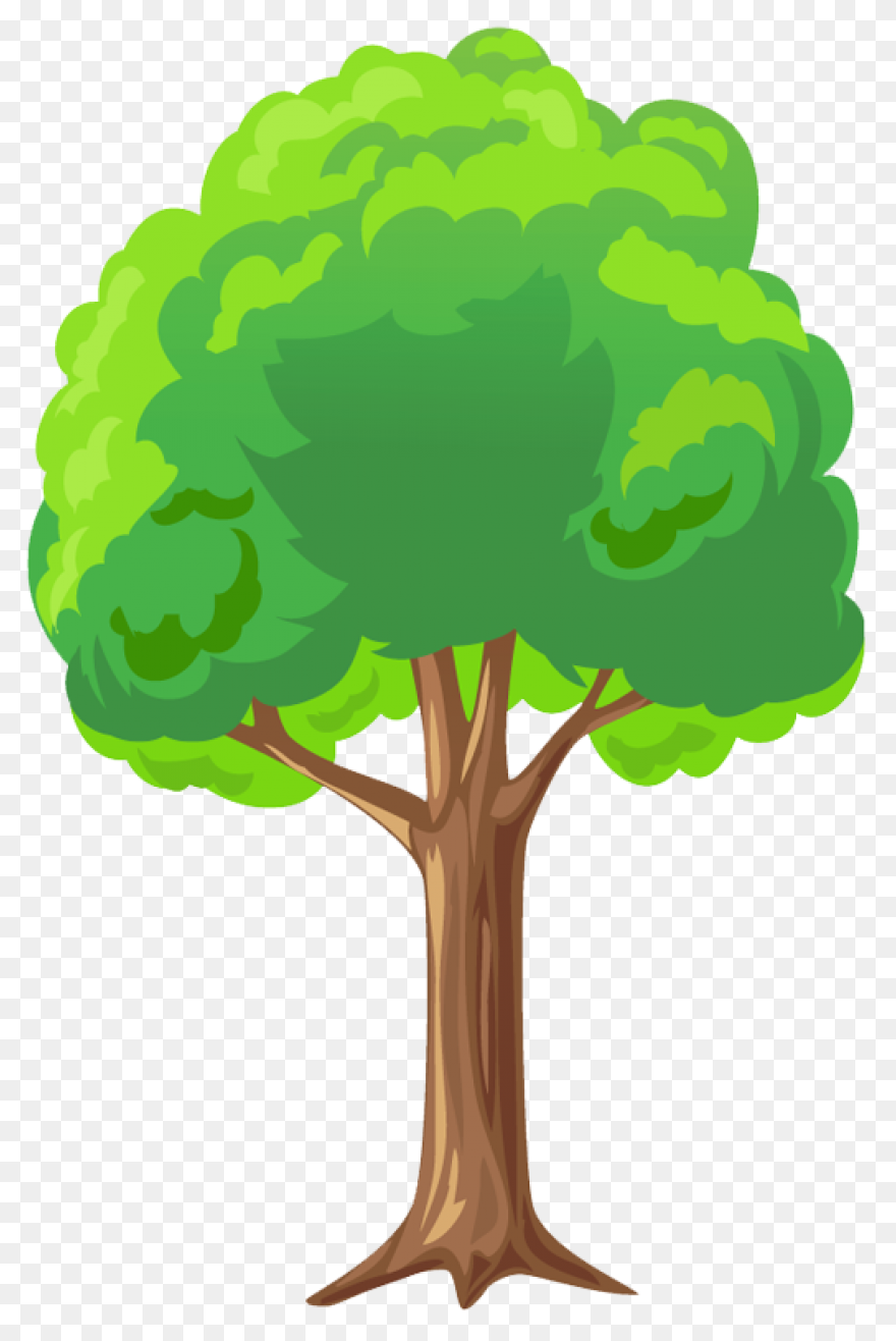 Tree 08 By Jpenrici Tree Top View #