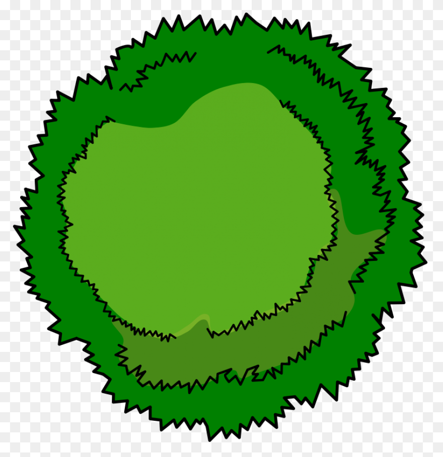 Tree 08 By Jpenrici Tree Top View #