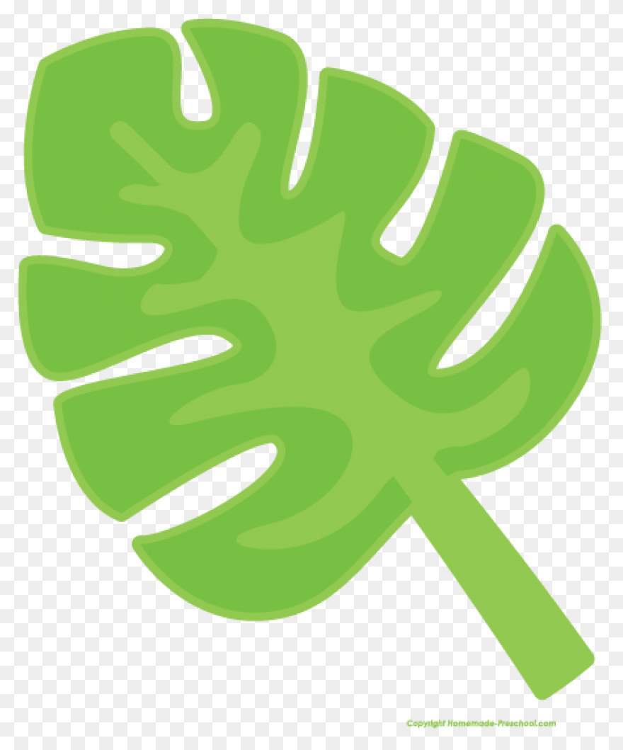 10 Jungle Leaves Ideas In 2021 | Le