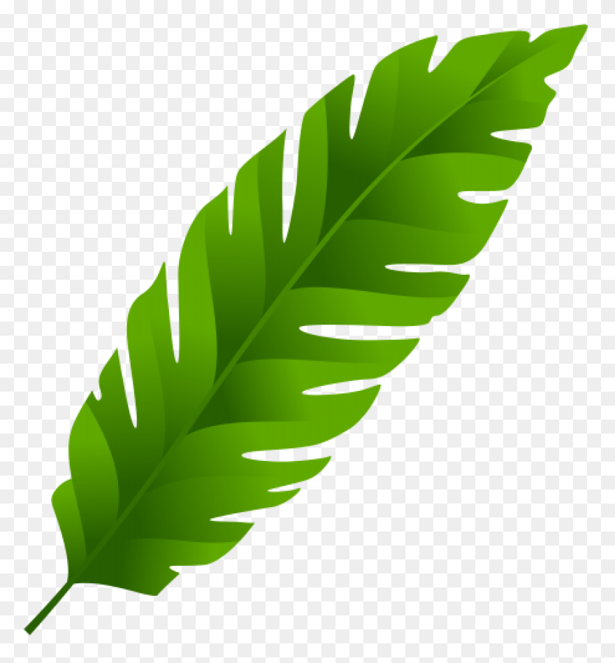 10 Jungle Leaves Ideas In 2021 | Le