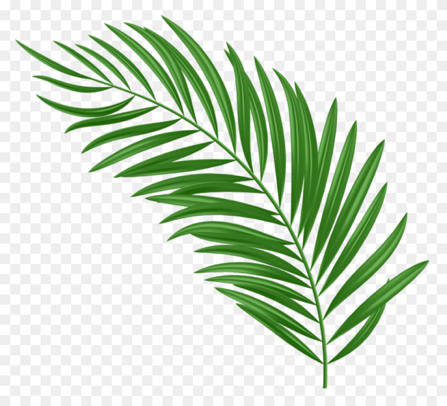 10 Jungle Leaves Ideas In 2021 | Le
