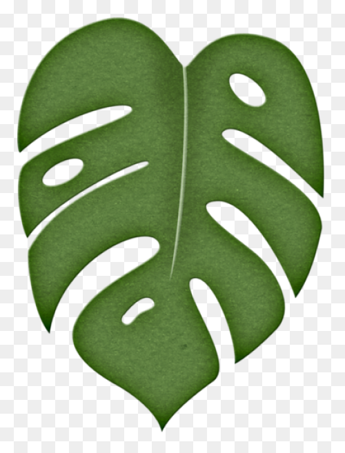 10 Jungle Leaves Ideas In 2021 | Le