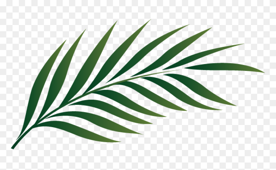 10 Jungle Leaves Ideas In 2021 | Le