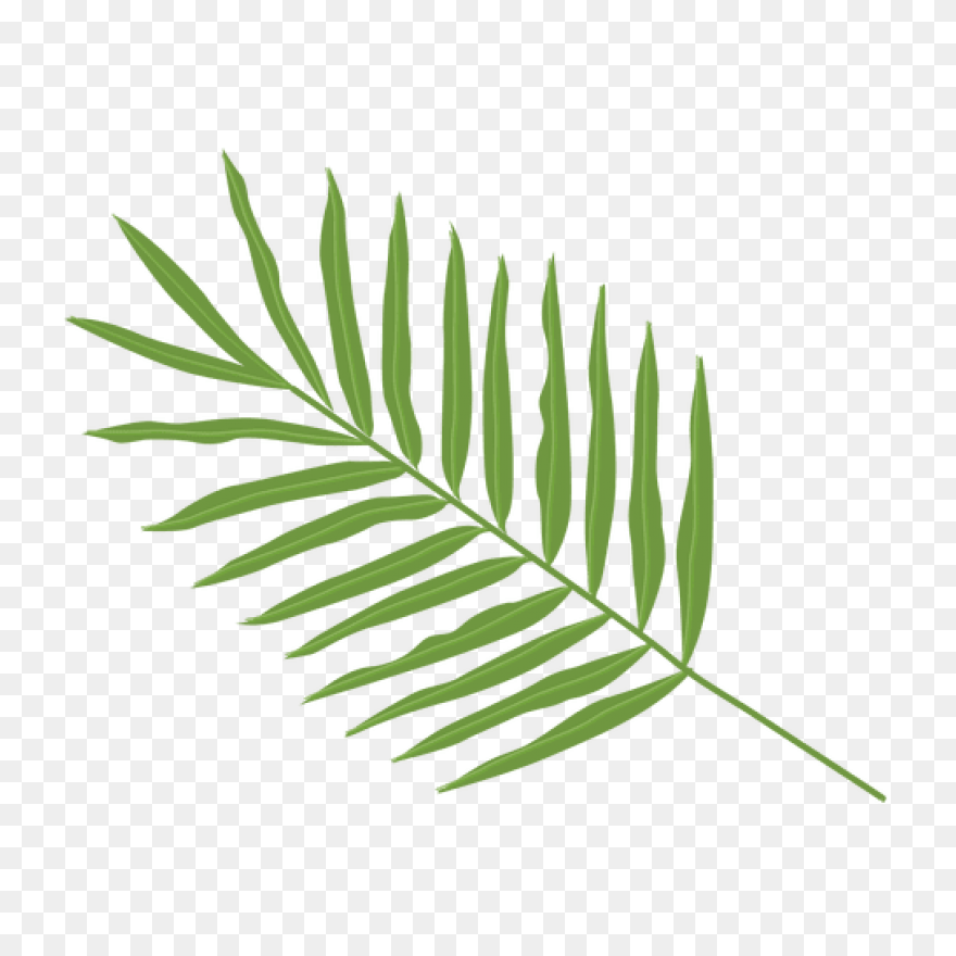 10 Jungle Leaves Ideas In 2021 | Le