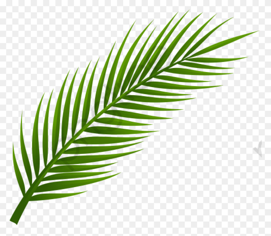 10 Jungle Leaves Ideas In 2021 | Le