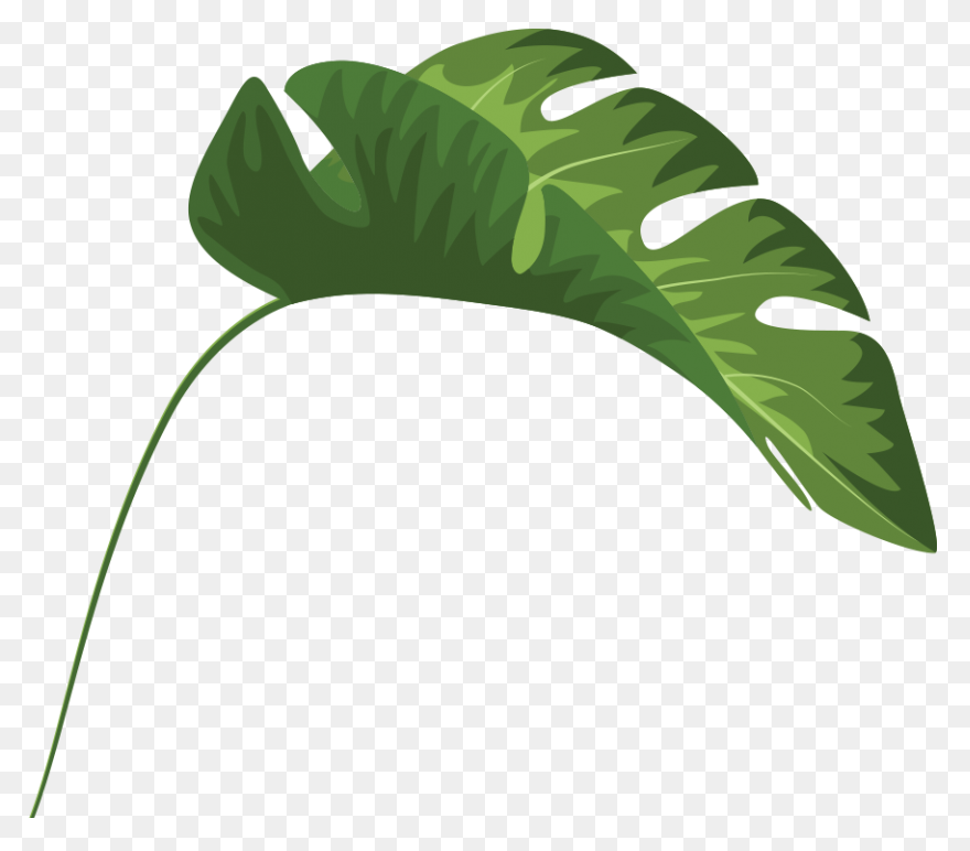 10 Jungle Leaves Ideas In 2021 | Le