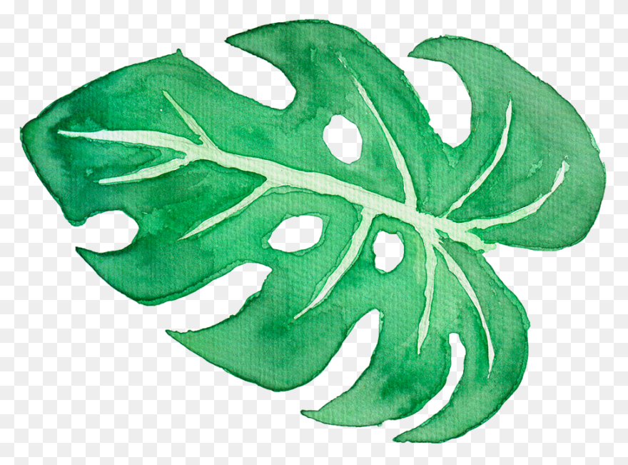 10 Jungle Leaves Ideas In 2021 | Le