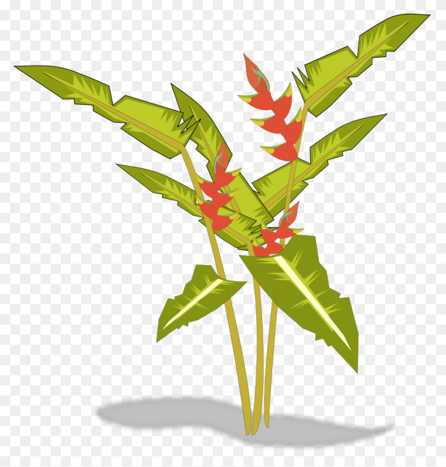 Multicolores,papier,papers | Plant 