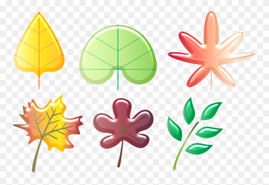Multicolores,papier,papers | Plant 