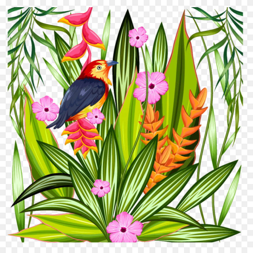 Multicolorespapierpapers | Plant Vector Tropical - Tropical Plants