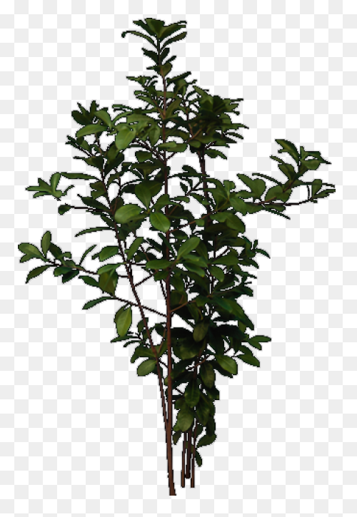 The Bundle Of Sticks - Trees Clipar