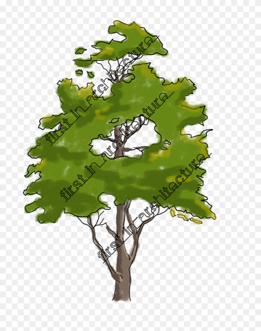The Bundle Of Sticks - Trees Clipar