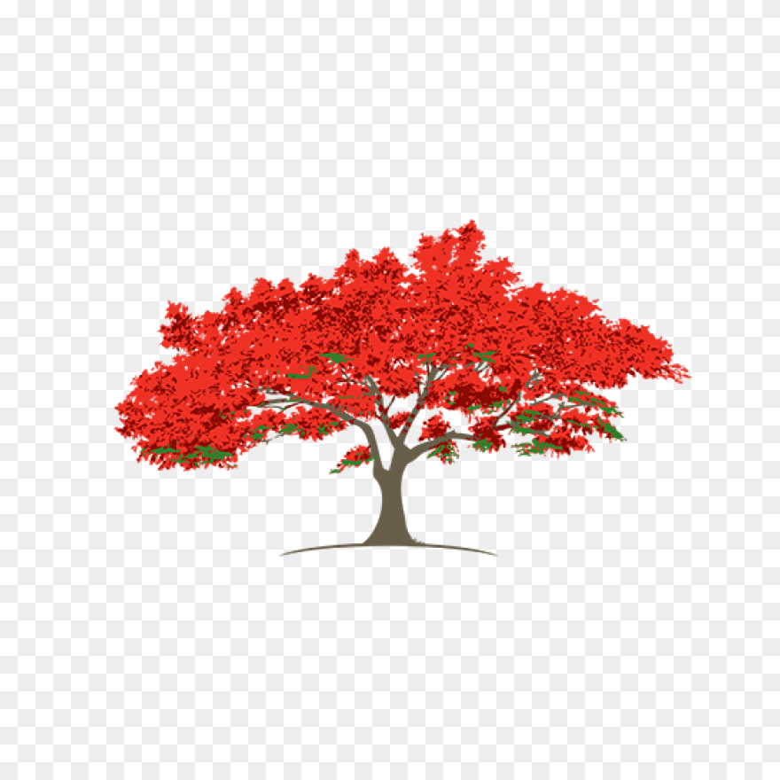 The Bundle Of Sticks - Trees Clipar