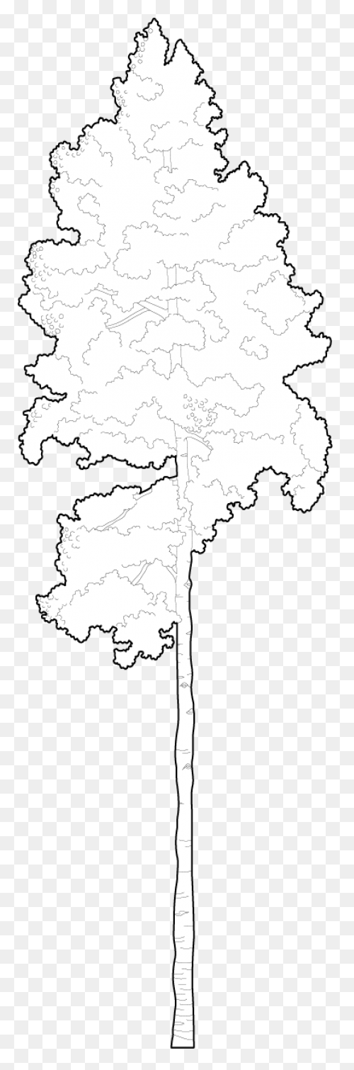 The Bundle Of Sticks - Trees Clipar