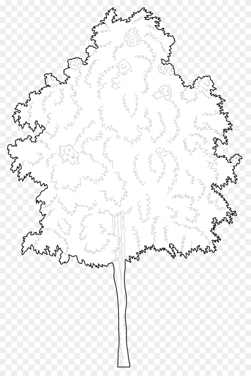 The Bundle Of Sticks - Trees Clipar