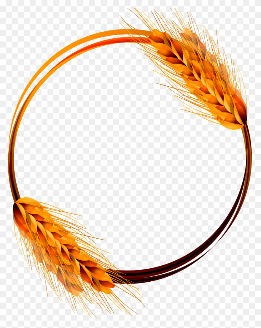 Download Trigo Png Image With No Ba