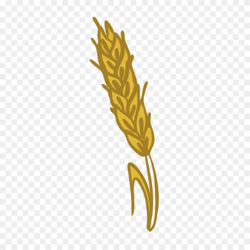 Download Trigo Png Image With No Ba
