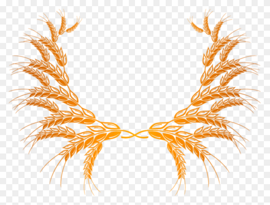 Download Trigo Png Image With No Ba