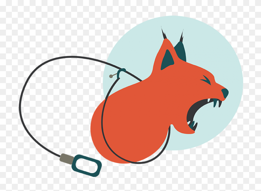 Animal Trapping, Gin Trap, Trap, Ca