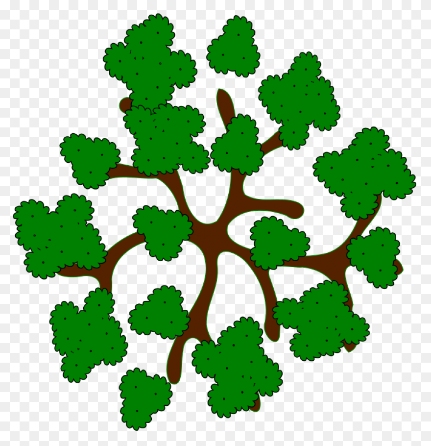 28 Collection Of Trees Clipart - Tree Top