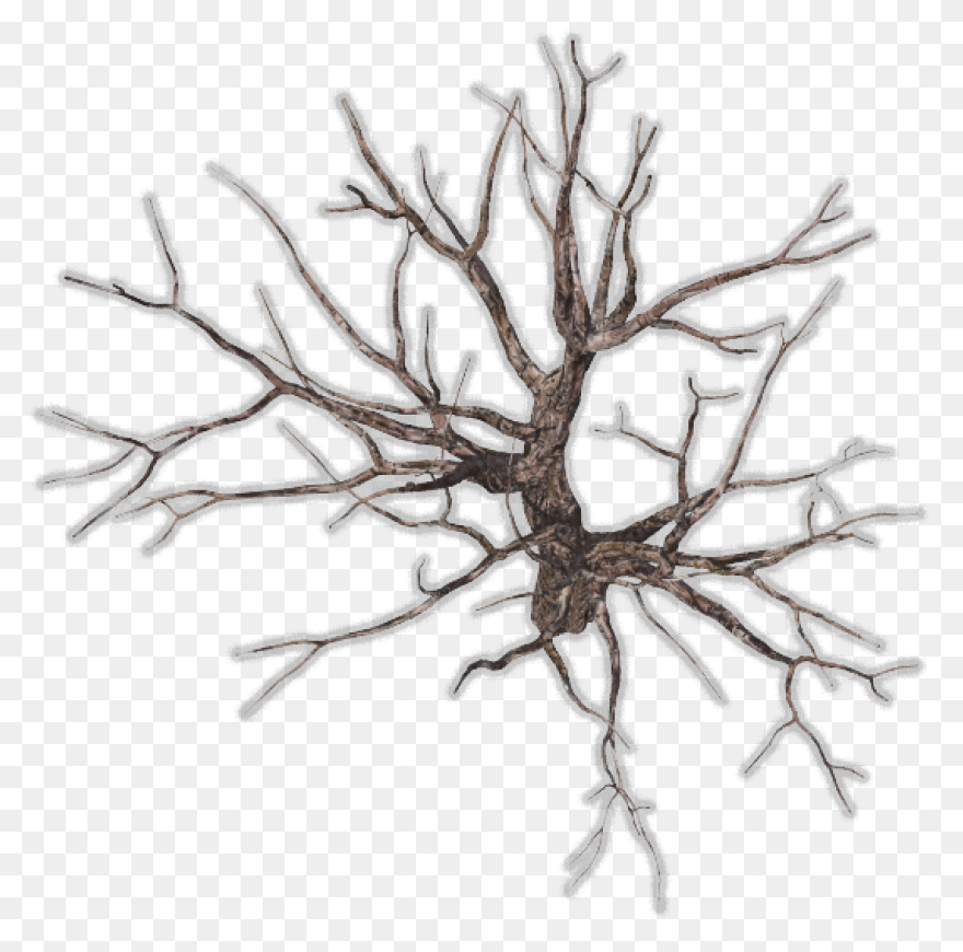 28 Collection Of Trees Clipart Top 