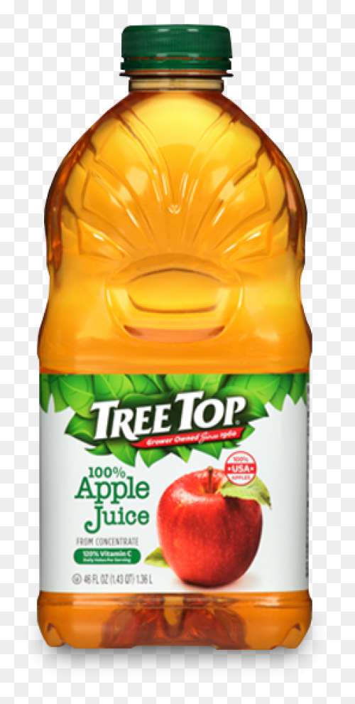 28 Collection Of Trees Clipart Top 