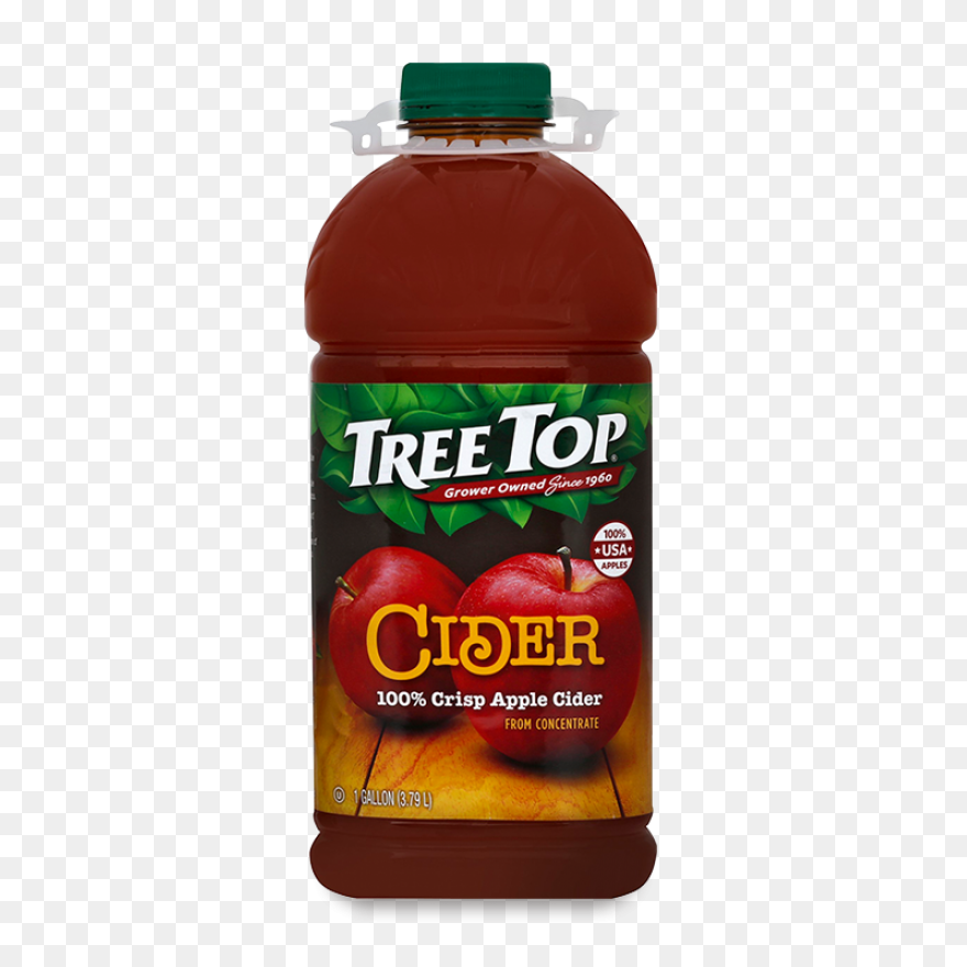 28 Collection Of Trees Clipart Top 
