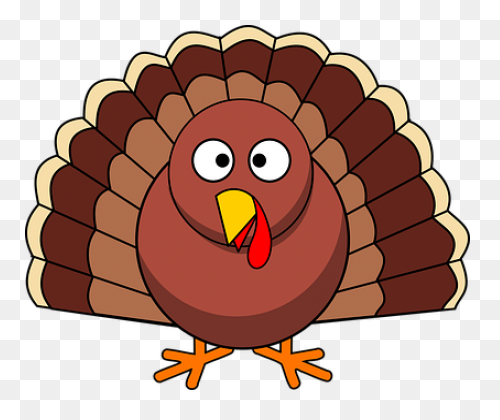Do You Like Turkey Noodles? Eat Wit