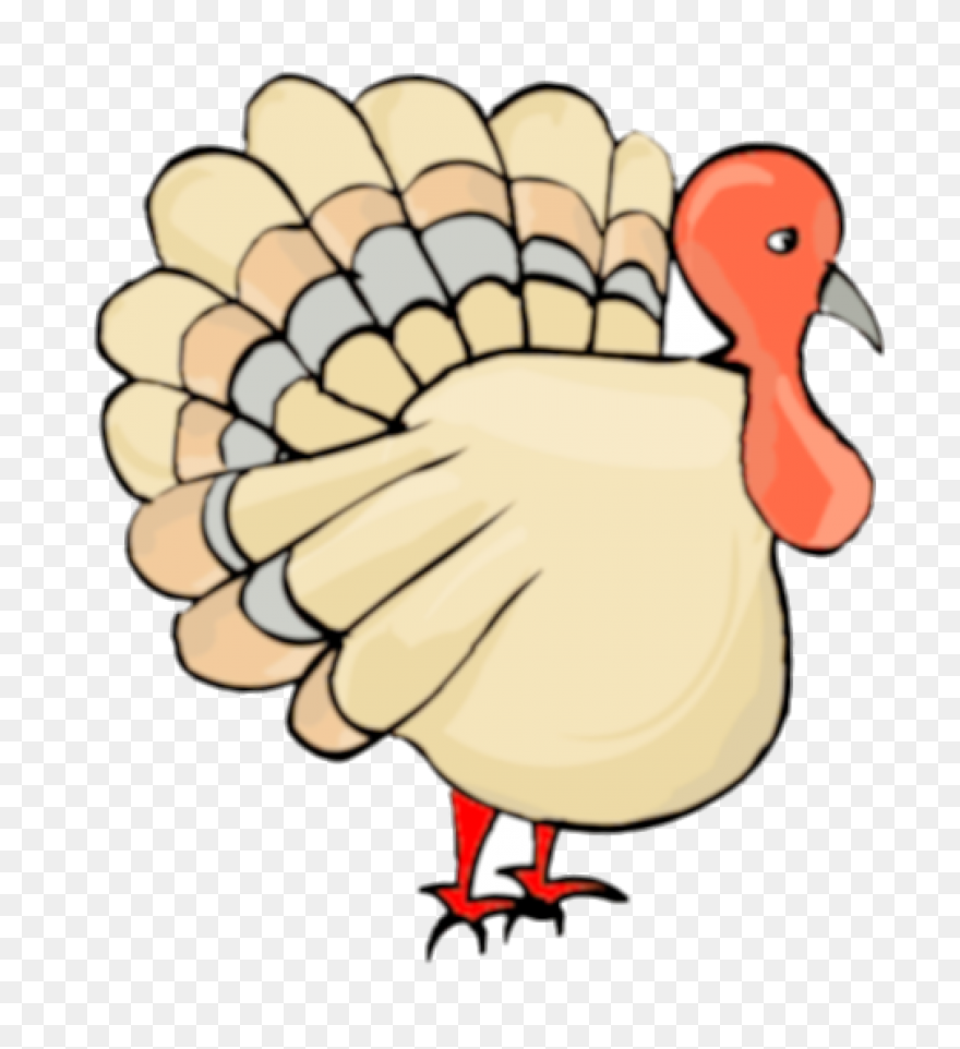 Do You Like Turkey Noodles? Eat Wit