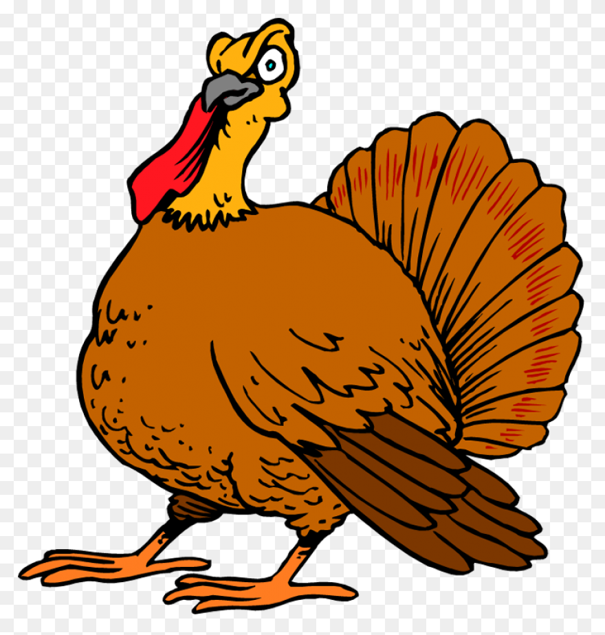 Do You Like Turkey Noodles? Eat Wit
