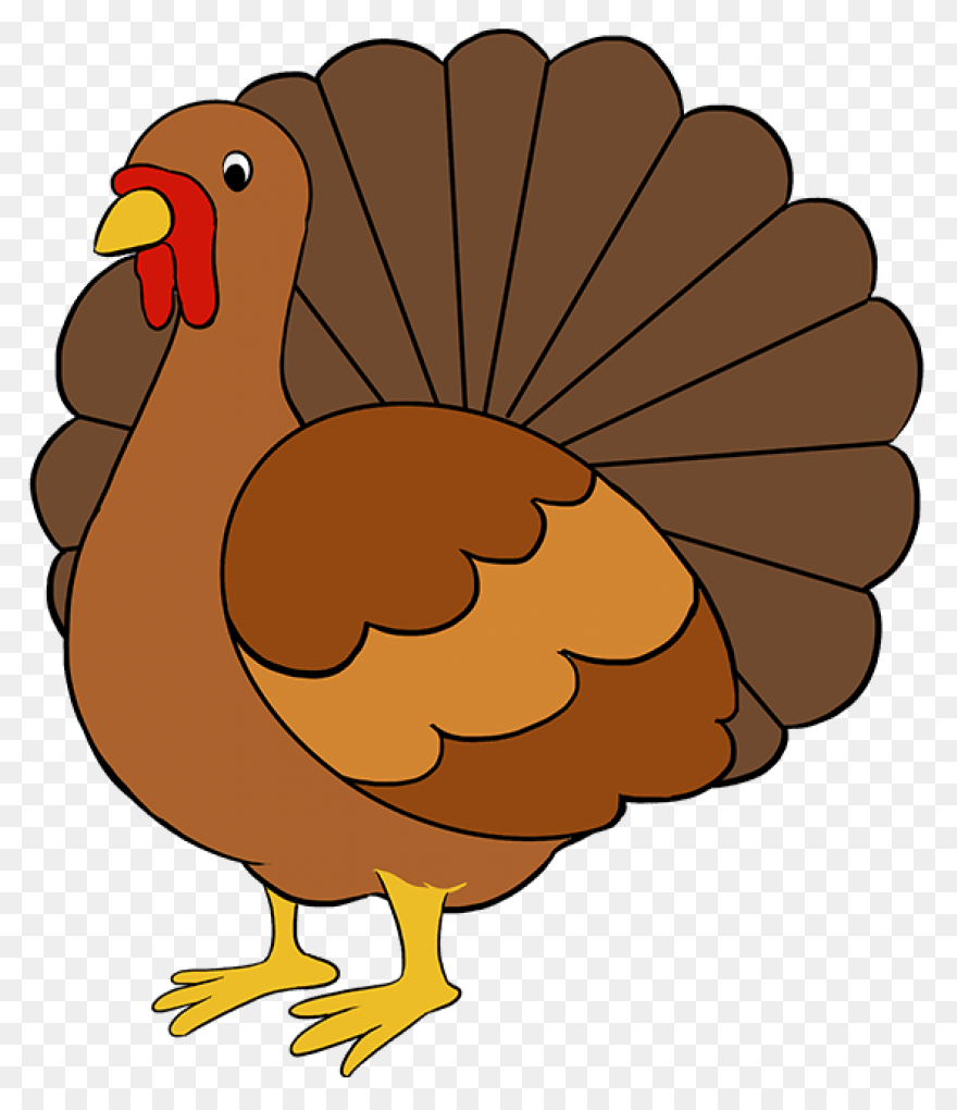 Do You Like Turkey Noodles? Eat Wit
