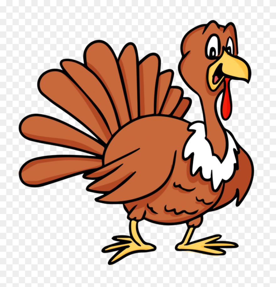 Do You Like Turkey Noodles? Eat Wit