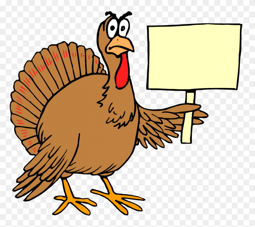 Do You Like Turkey Noodles? Eat Wit
