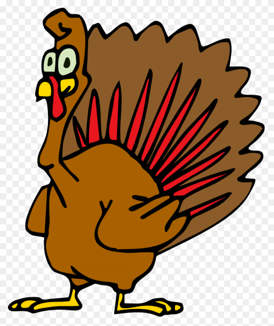 Do You Like Turkey Noodles? Eat Wit