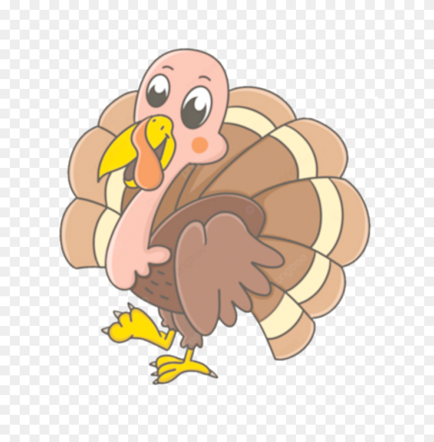 Do You Like Turkey Noodles? Eat Wit