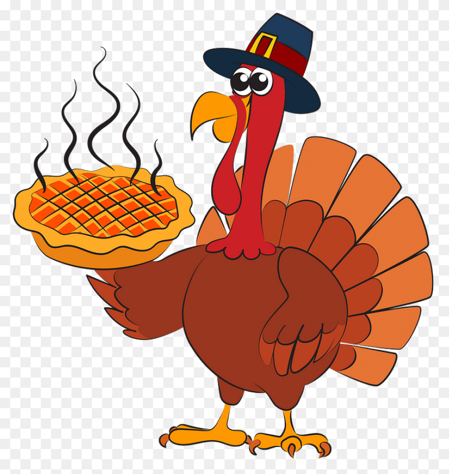 Thanksgiving Turkey In Pilgrim Hat - Turkey