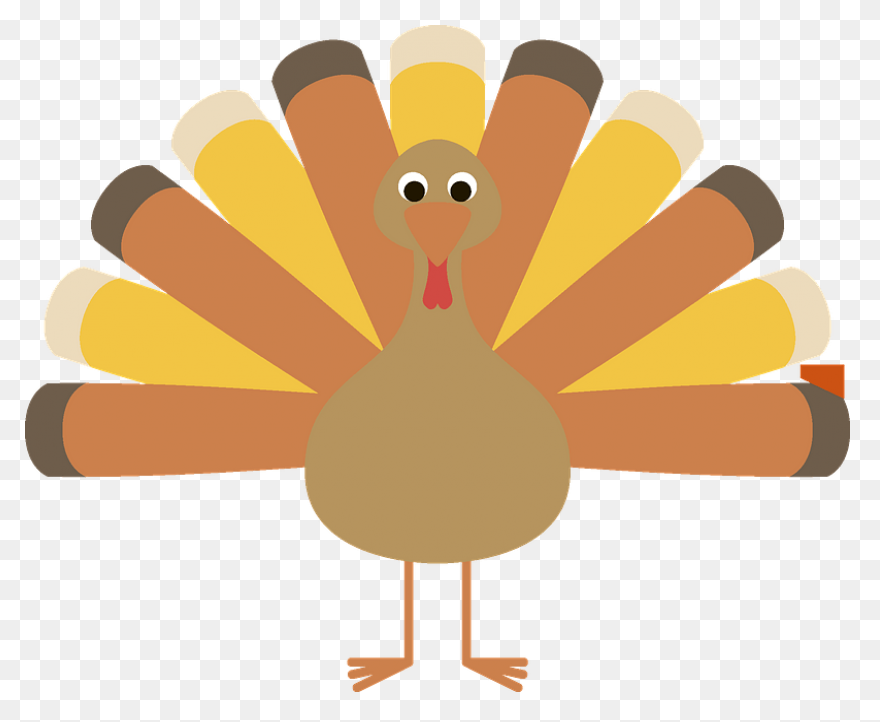 Do You Like Turkey Noodles? Eat Wit